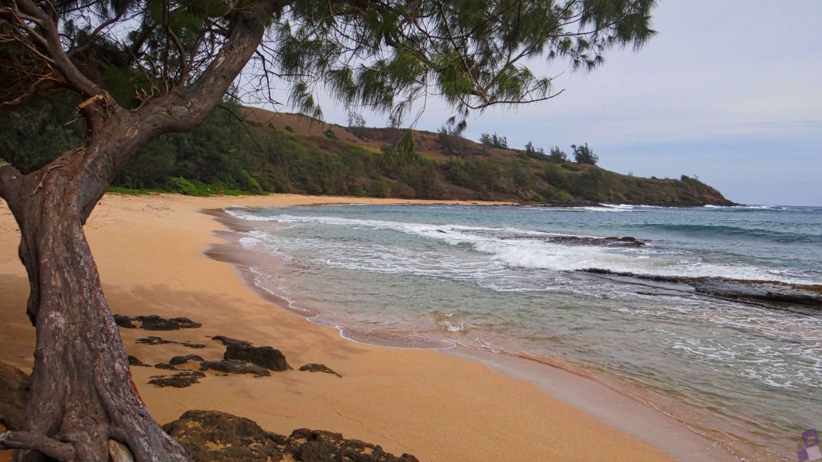 St George travel agent specializing in Hawaii packages